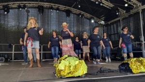 Stadtfest Schneverdingen